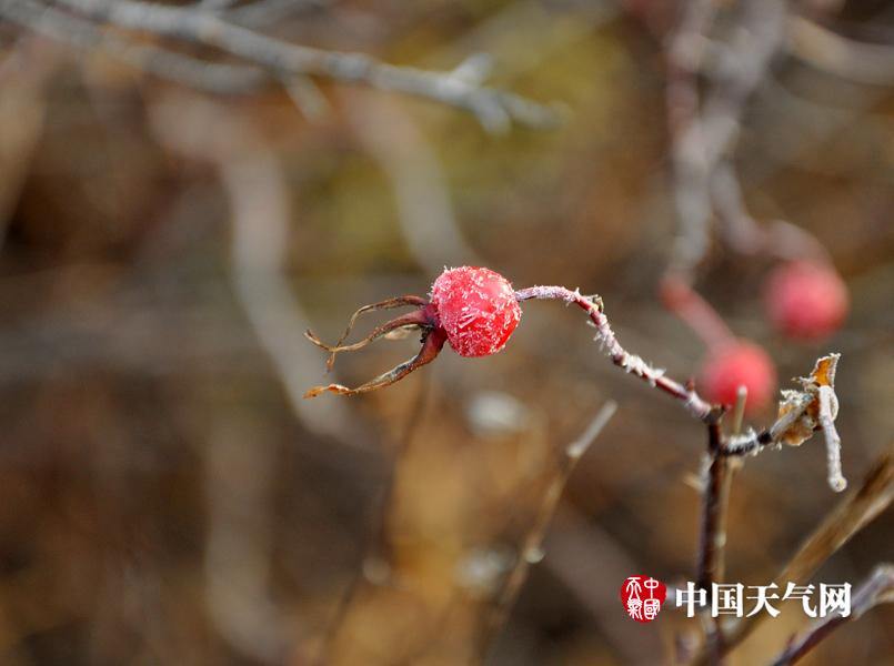 阿凡达3：潘多拉的秘密