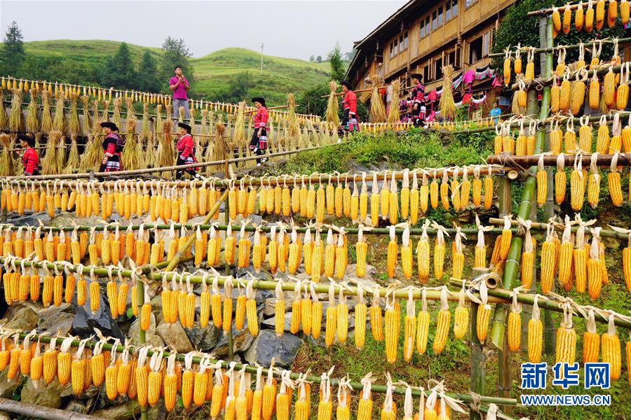 时间停止器
