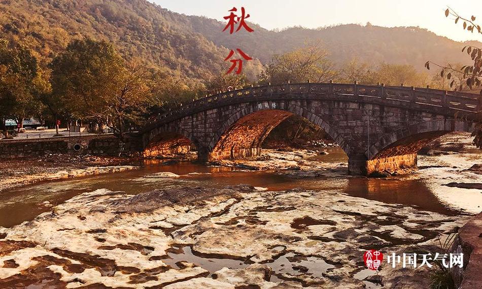 中文 免费 色情