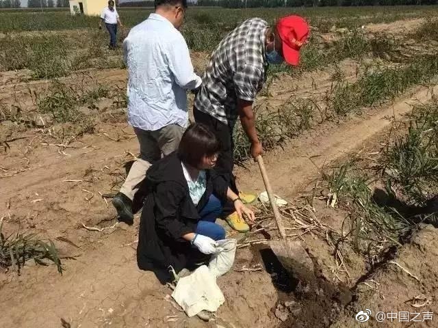 51国精产品自偷自偷综合