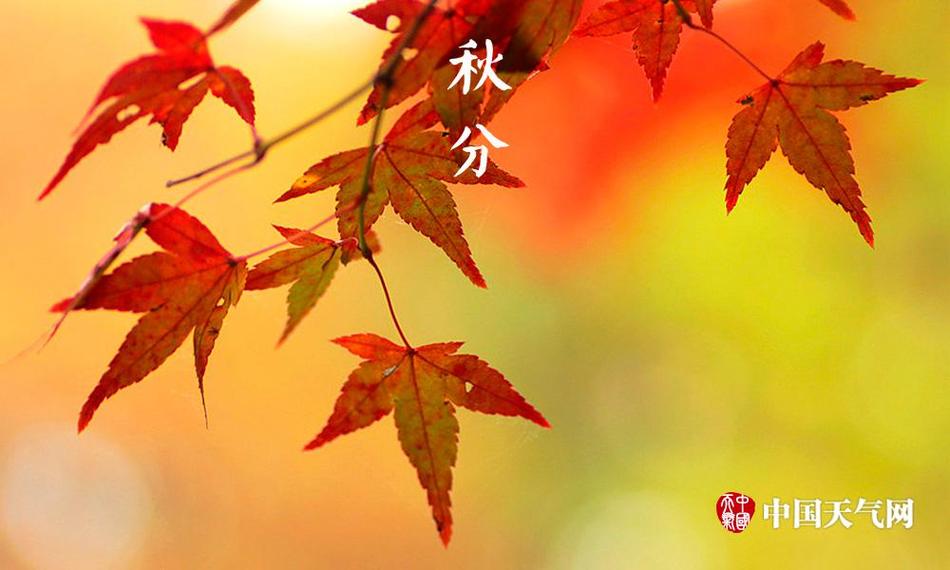 刘玉玲三级片