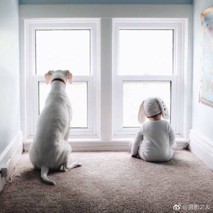 黄片短视频免费