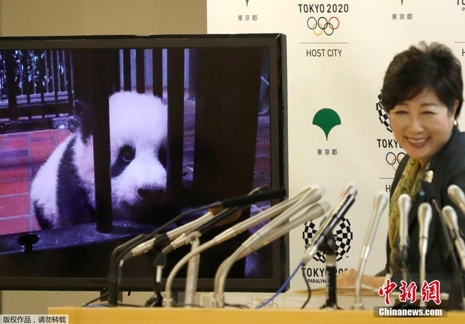 狠狠干天天干