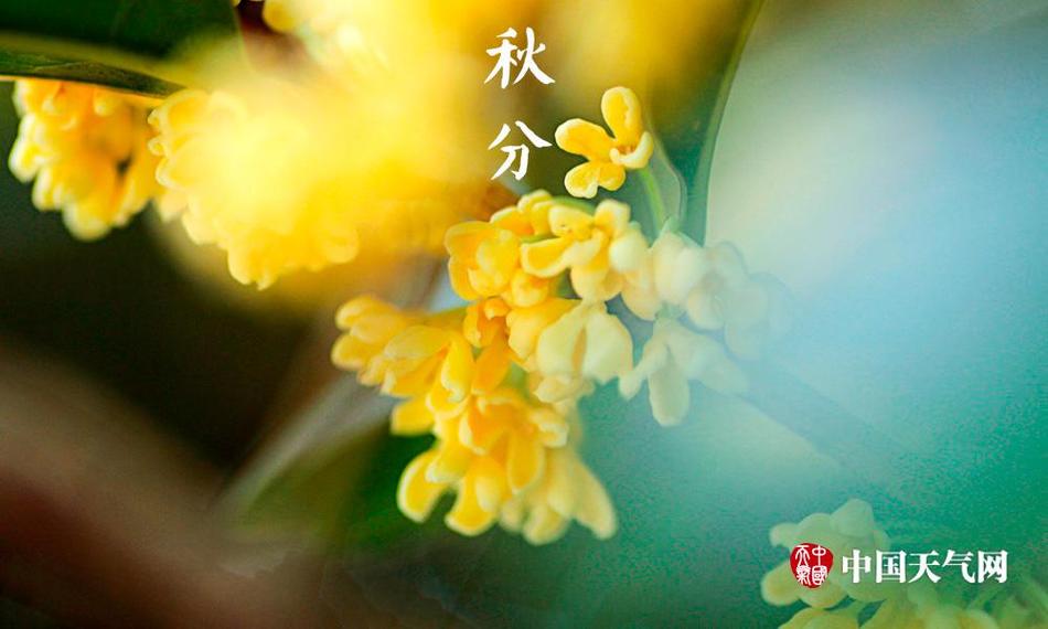小受被强做开腿呻吟gv