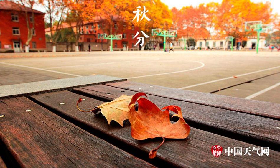 塞跳蛋上课