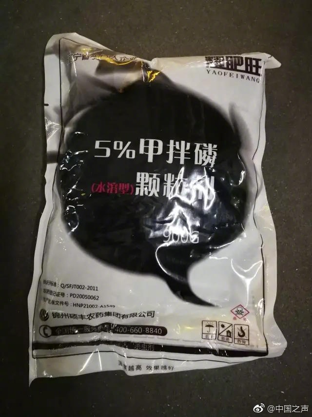 和懒散的白毛妹妹纸巾盒
