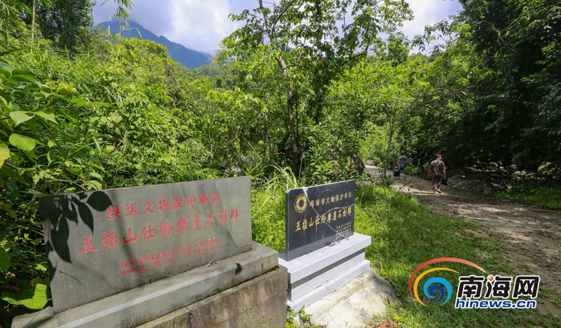 国内精久久久久久久久久久