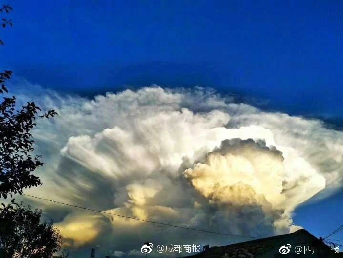 综合色区