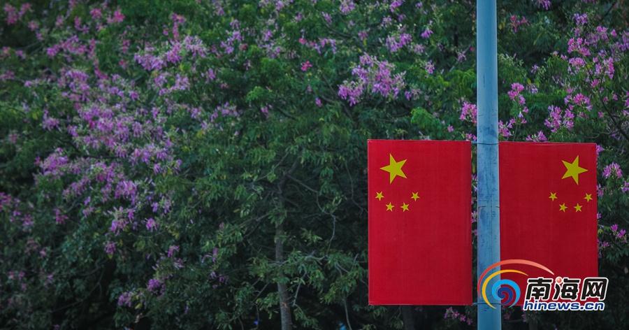 肛交中国