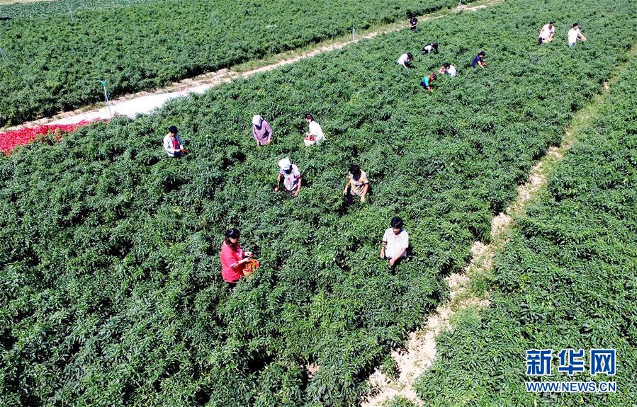 中国女人特级毛片
