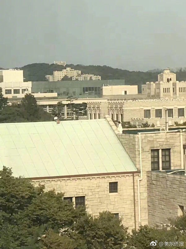 四房婷婷