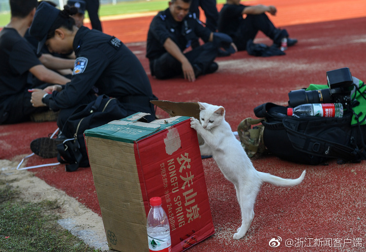谁给个人畜性爱网站