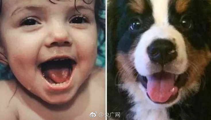 4K 成人 网站