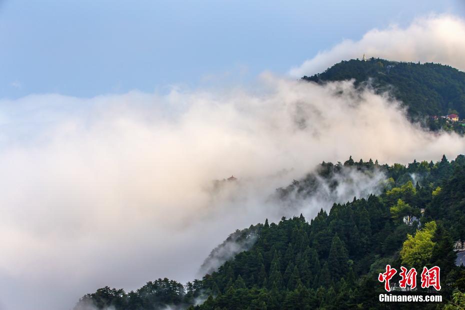 苍井空黑人无套