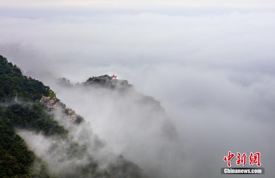 八重神子被丘丘人繁衍后代图