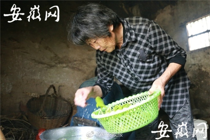 国产全肉乱妇杂乱视频