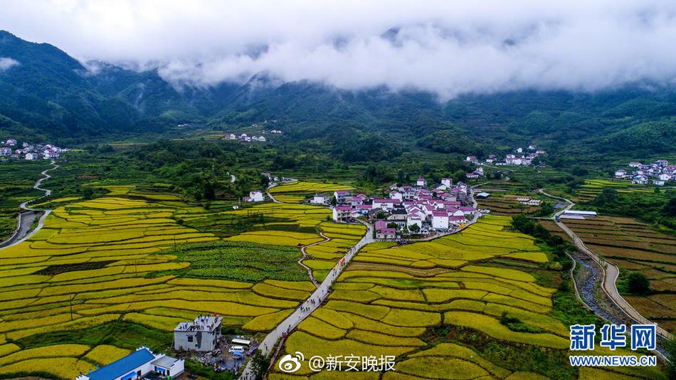 操逼操逼操逼