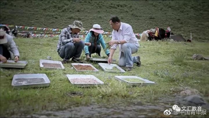 车速超高废文的双男主