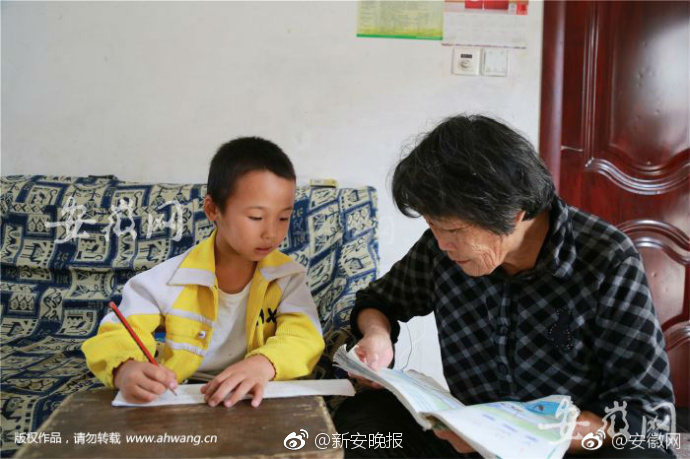 能看的黄色电影