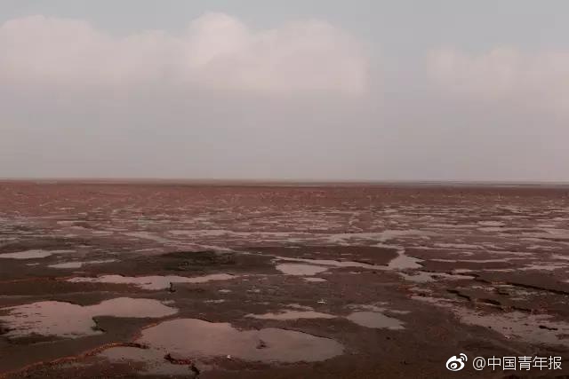 習呆呆