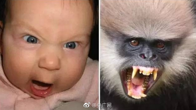 演戏时在被子里真做了H