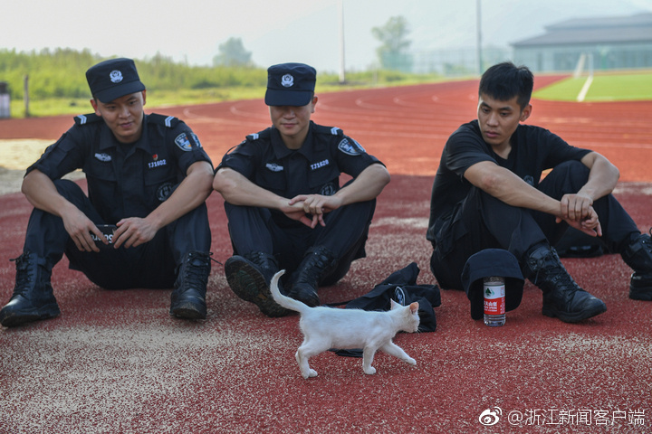 男女搞鸡
