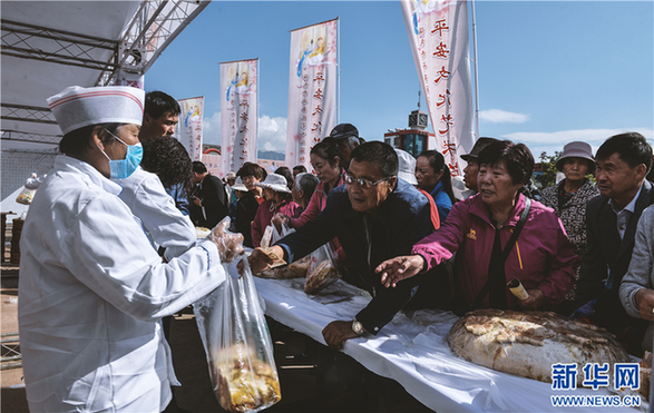 免费 成人 视频 下载