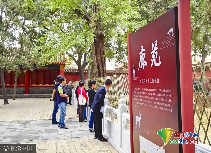 在线不卡AV