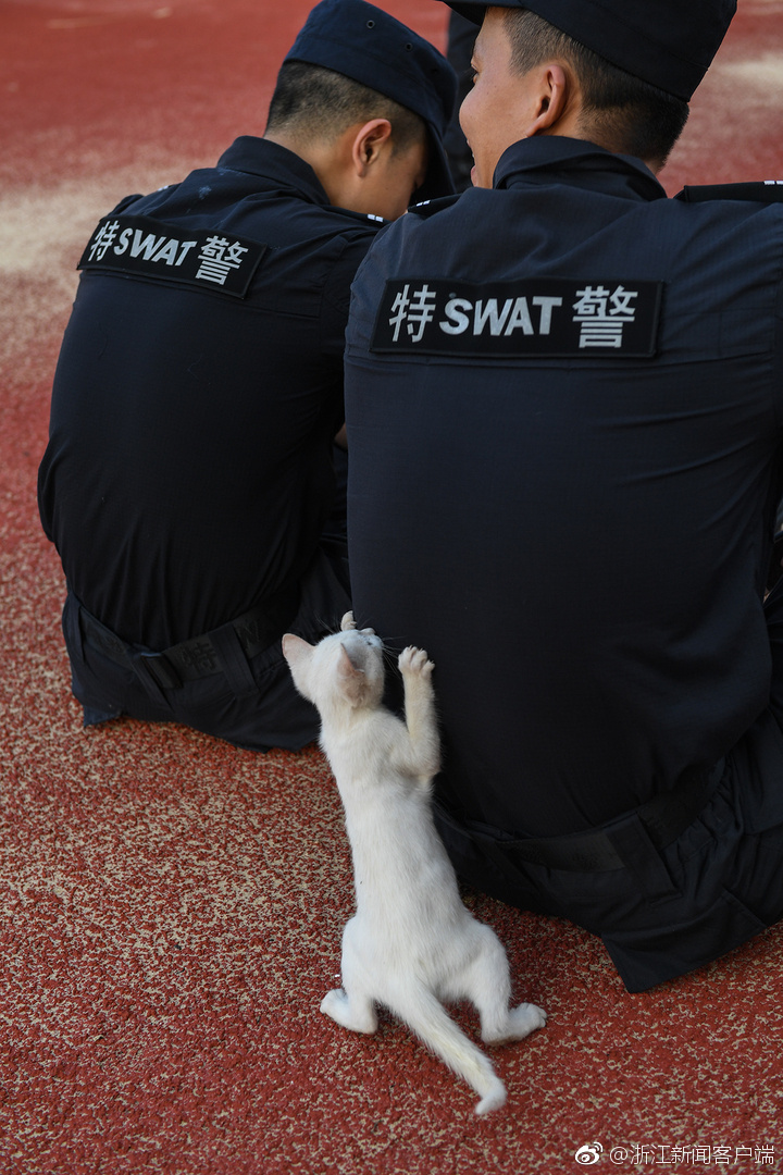 无尽 裸体 动漫
