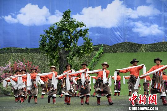 欧美人与禽动ZoZ0