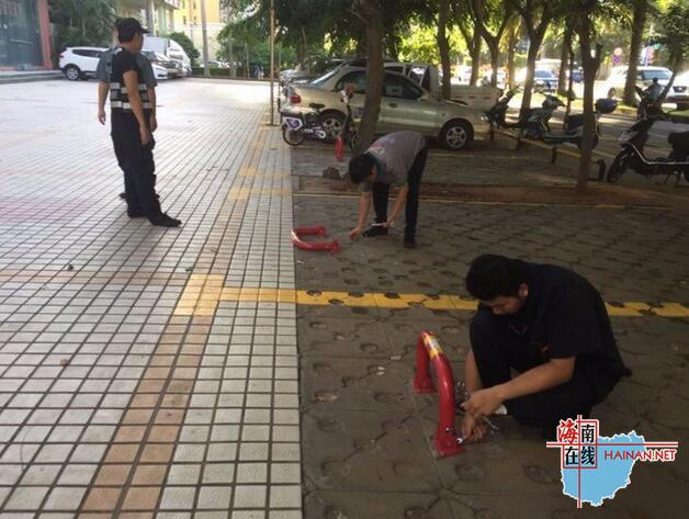 播放全黄网站