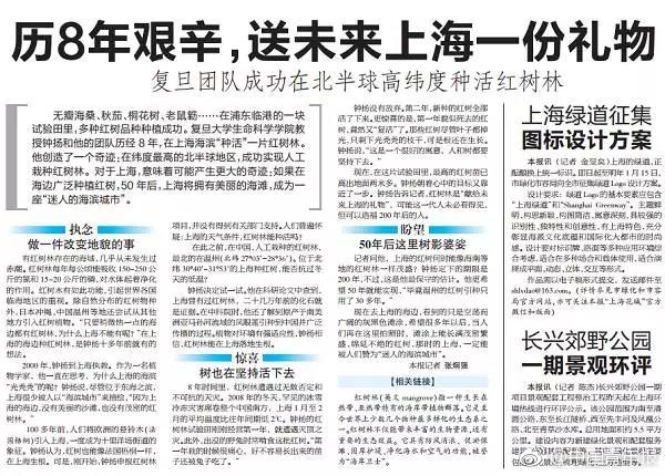 偷偷用丝袜自慰