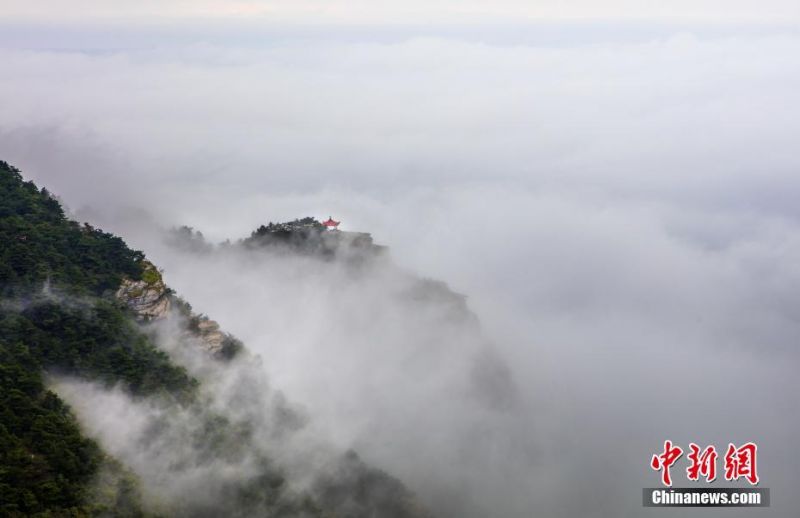 李丽珍A级裸体啪啪