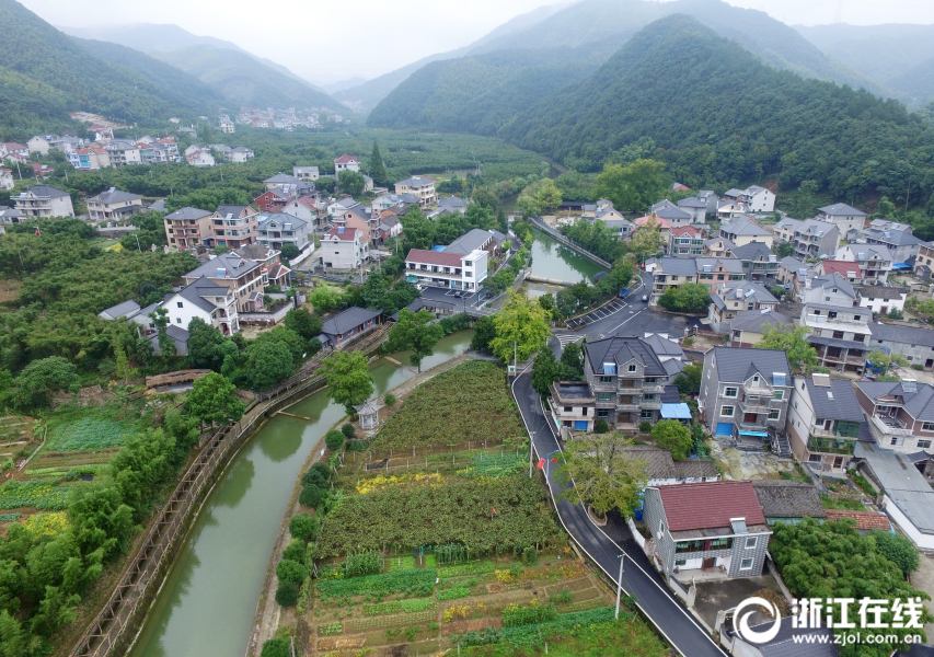 日本无码A片免费网站