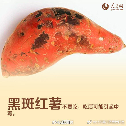 黄色网页一区