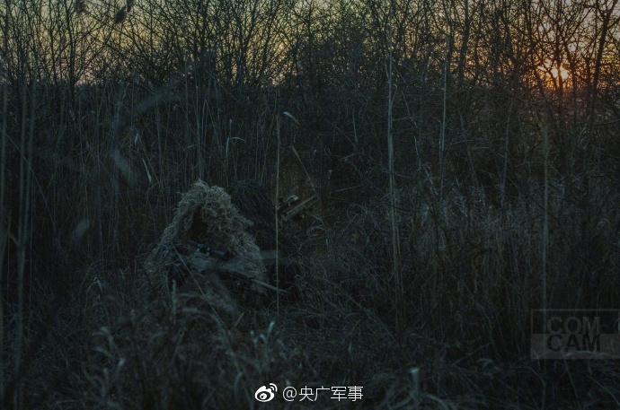 国产区在线观看