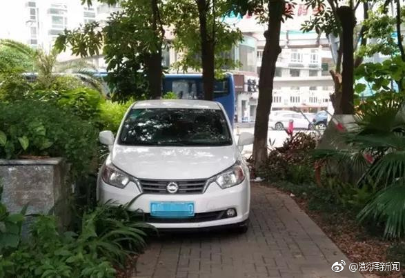 挺进她的花苞 啊太深了APp