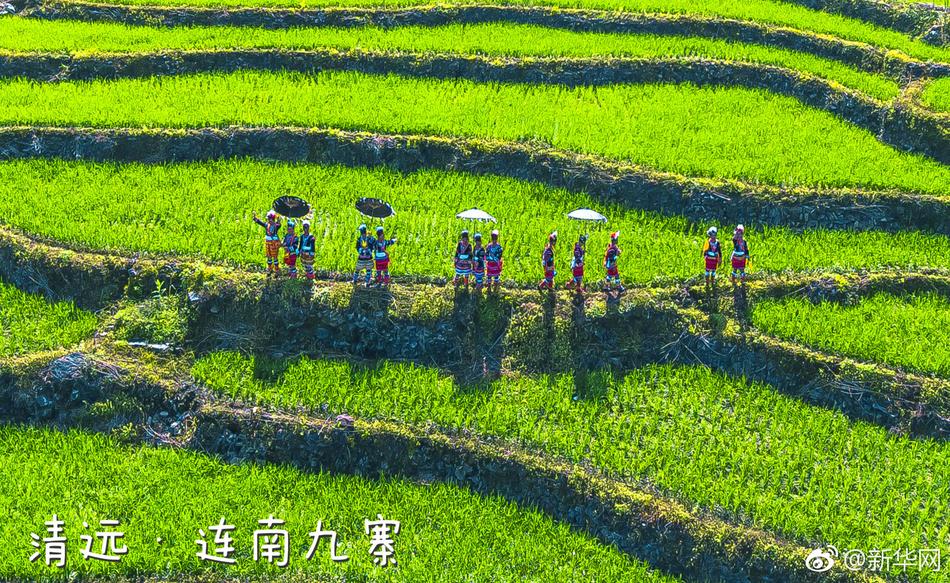 法国贵妇意大利语
