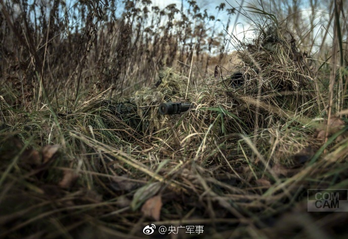 91在线精品