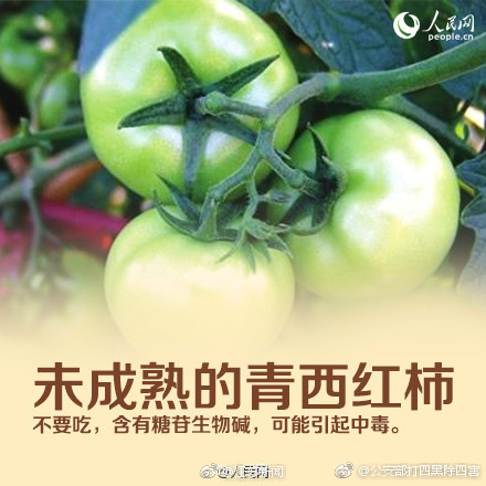 舒琪性黄片