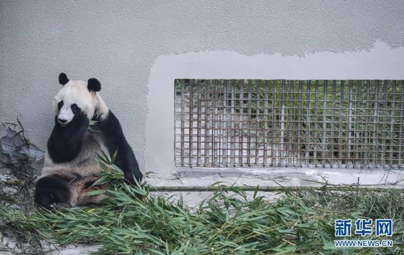 妺妺自愿做我的性玩具h