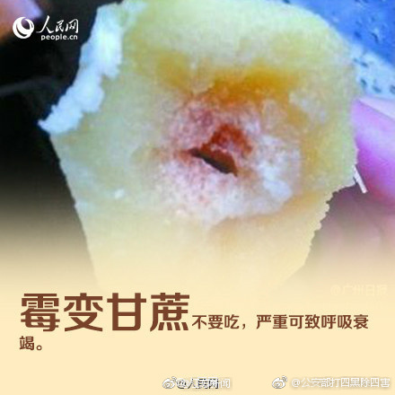 美女露岀奶头秘 无遮挡图片