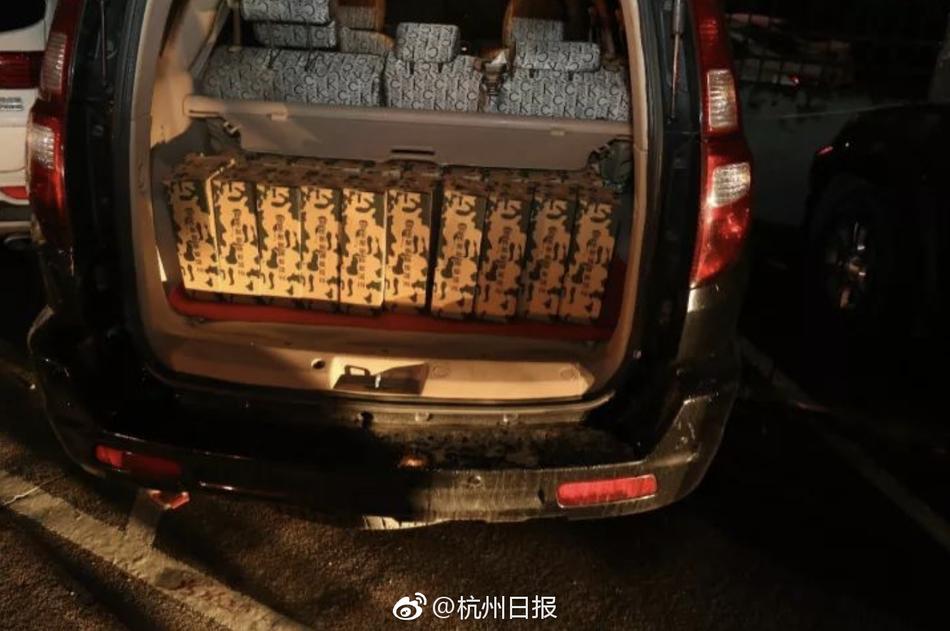 动漫 成人 网站