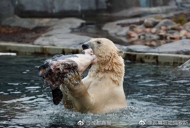 欧美成人一区二区