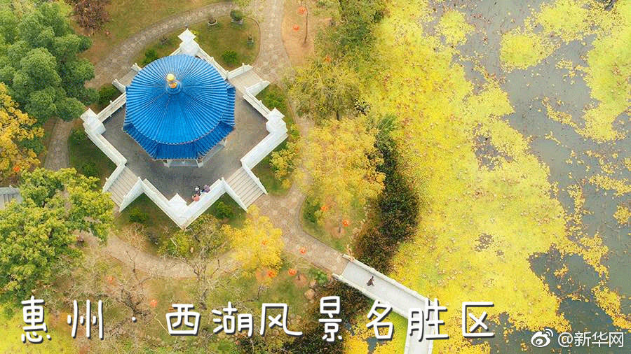 天海春香