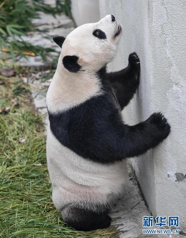 性爱 高清