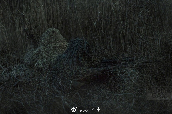 向日葵视频罗志祥总结