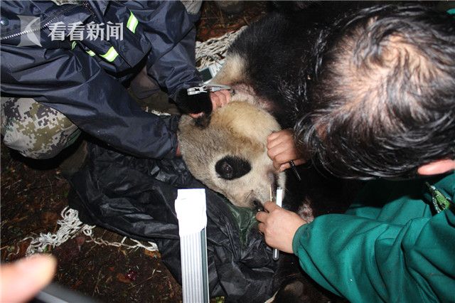 欧美一区不卡