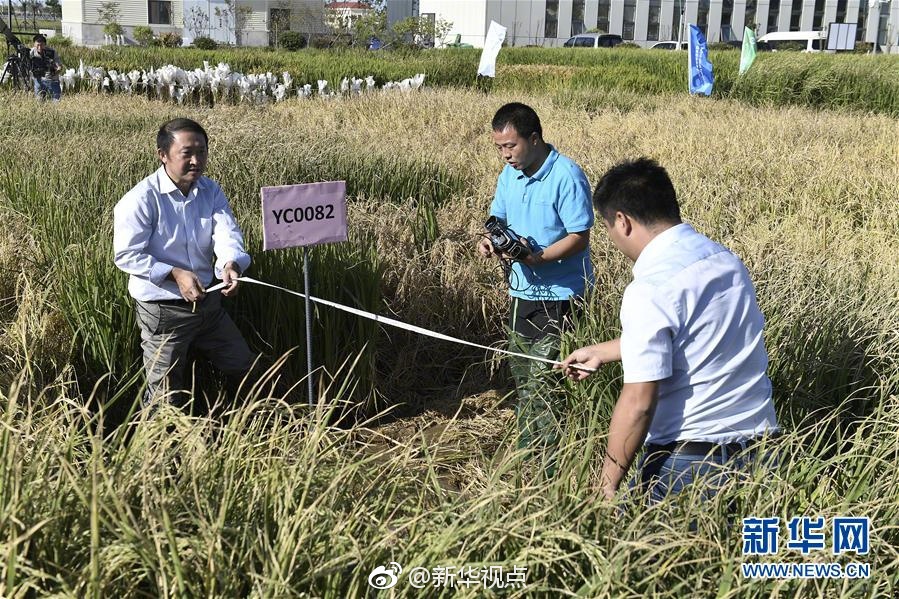 在公交车里c弄到高C了怎么办
