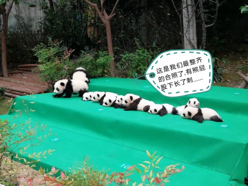 久久精品国产精品